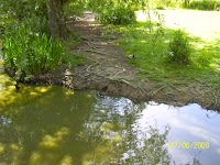 Bentley Wildfowl and Motor Museum 1079731 Image 2